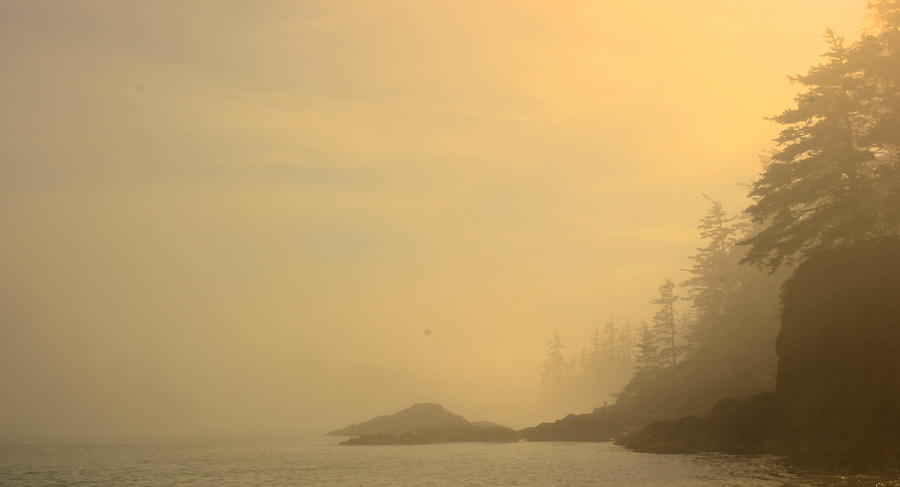 Fog and Sun Photograph by Brian Sereda
