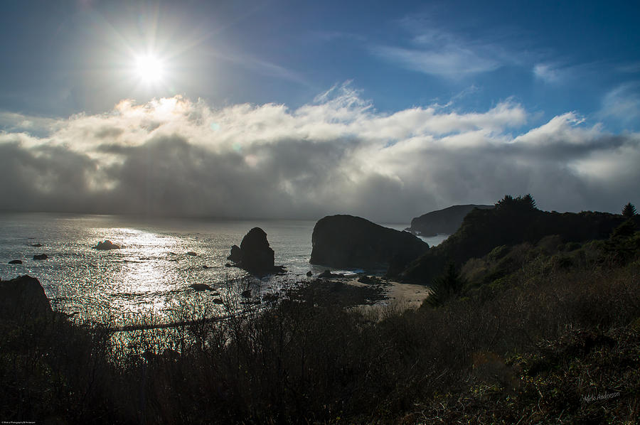 Fog and Sun on the Oregon Coast Photograph by Mick Anderson
