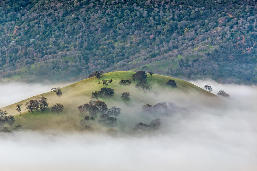 Fog Around Hilltop Photograph by Marc Crumpler