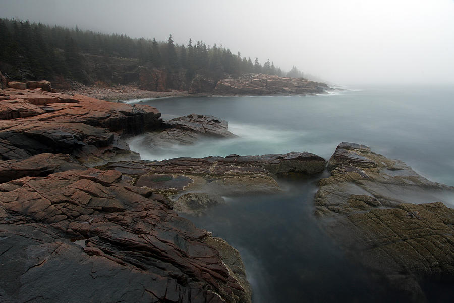Fog at Acadia National Park Photograph by Juergen Roth