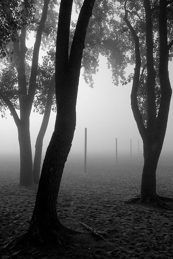 Fog at Ashbridges Bay Photograph by Rick Shea