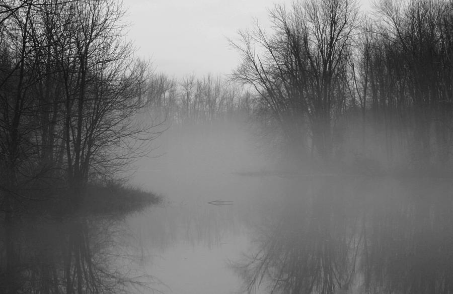 Fog at Mud Creek Photograph by Jim Vance