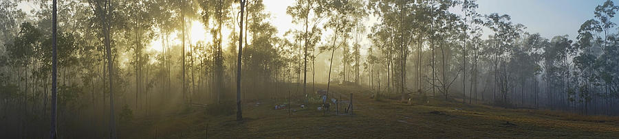 Nature Photograph - Fog at Sunrise by Sheryl Caston