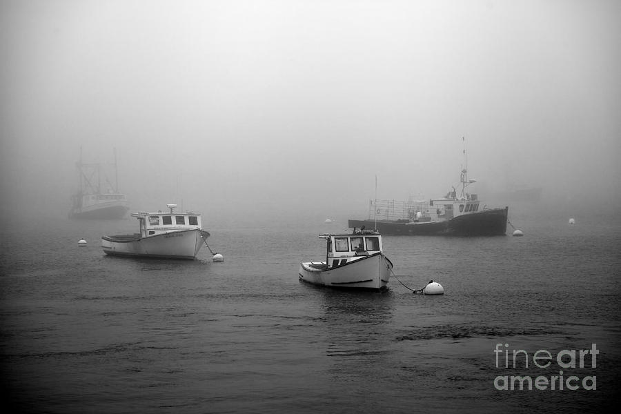 Fog at The Maine Harbor Photograph by Nicola Fiscarelli