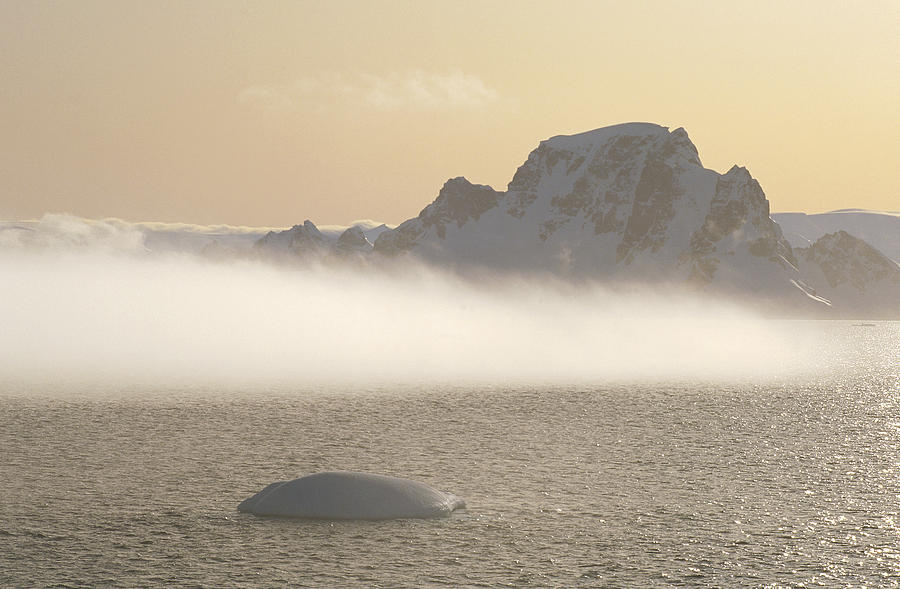 Fog Bank And Icy Mountains Gerlache Photograph by Tui De Roy