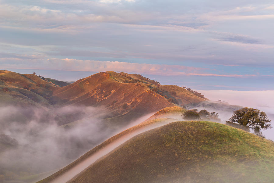 Fog Between Hills at Sunrise Photograph by Marc Crumpler