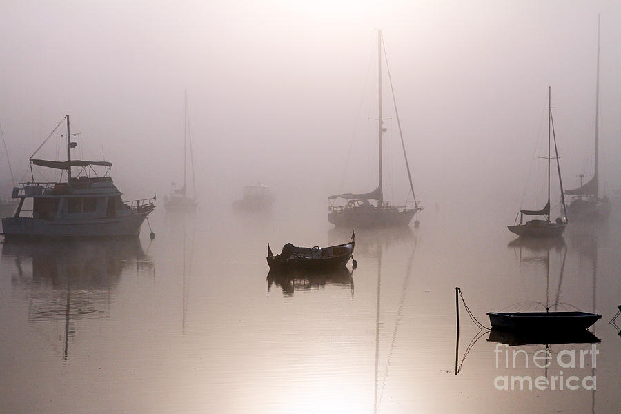 Fog Photograph by Butch Lombardi