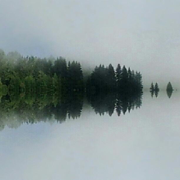 Nature Photograph - Fog by Ernesto Cinquepalmi