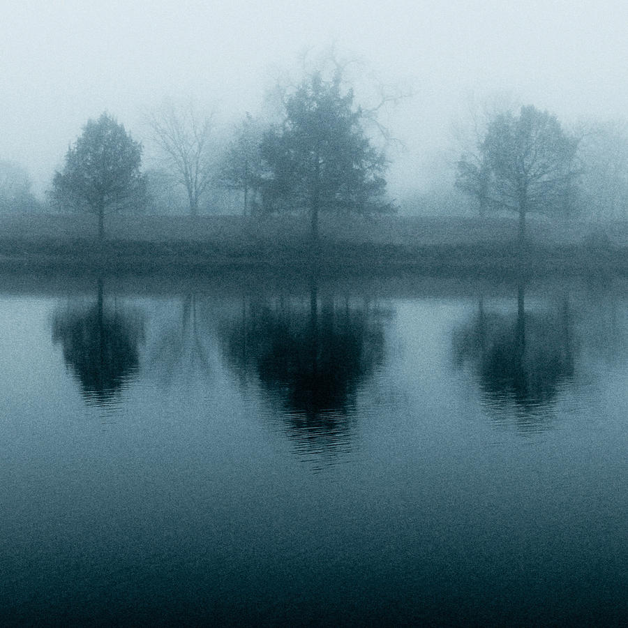Fog in Blue Photograph by Tony Grider