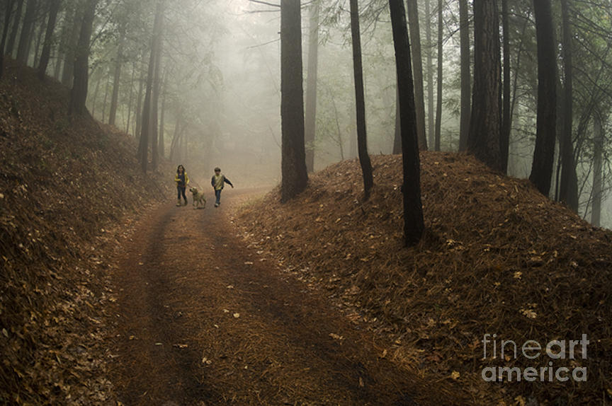 Fog In Sierra Mountain Trail Photograph by Ron Sanford