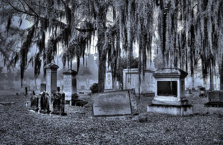 Cemetery 1 Photograph by Albert Fadel