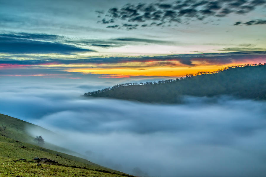 Fog in the Valley Photograph by Marc Crumpler