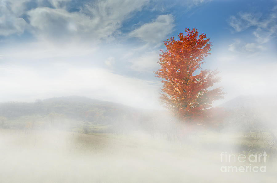 Fog lifting in Canaan Valley Photograph by Dan Friend