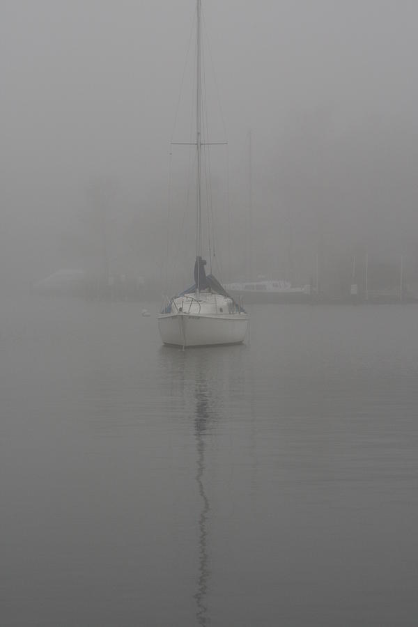 Winter Photograph - Fog Mystery by Valia Bradshaw