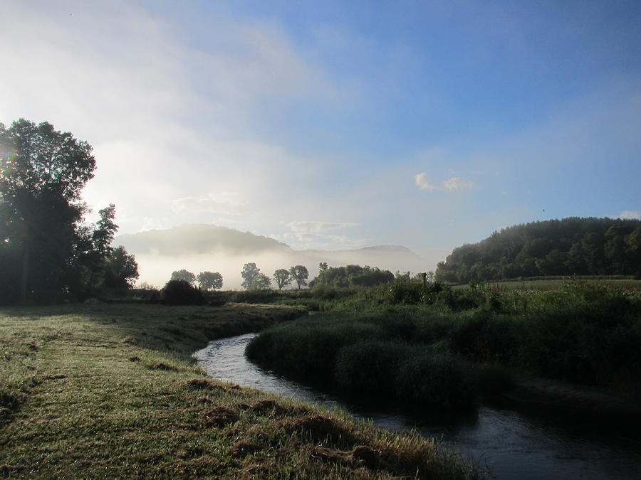 Fog Photograph - Fog on Bear Creek by Denise Hoff Fog Photograph - Fog on Bear Creek by Denise Hoff