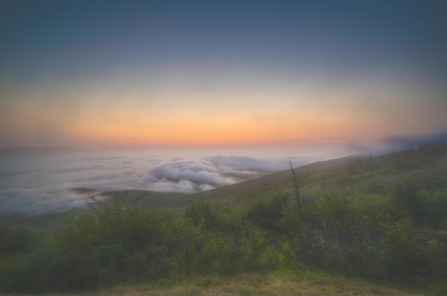 Fog on Cadillac Mountain Photograph by At Lands End Photography