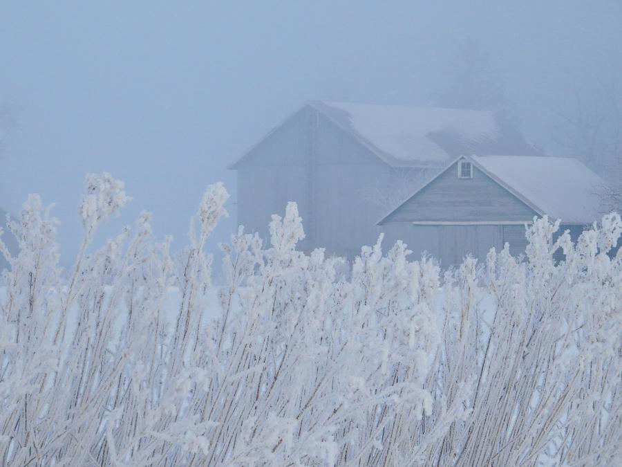 Fog on the Farm Photograph by Lori Frisch