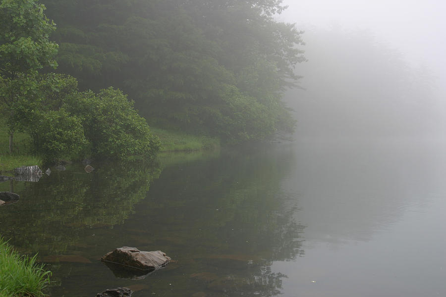 Fog On The Lake Photograph