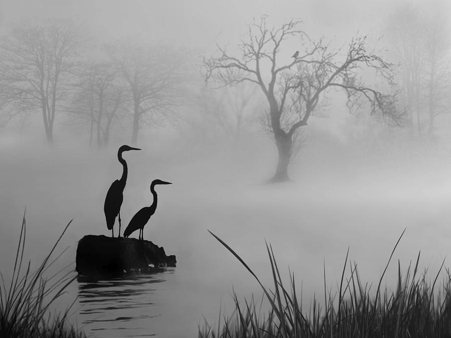 Fog on the Lake Digital Art by Nina Bradica
