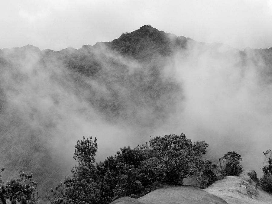 Fog on the Mountain Photograph by Jo Jurkiewicz