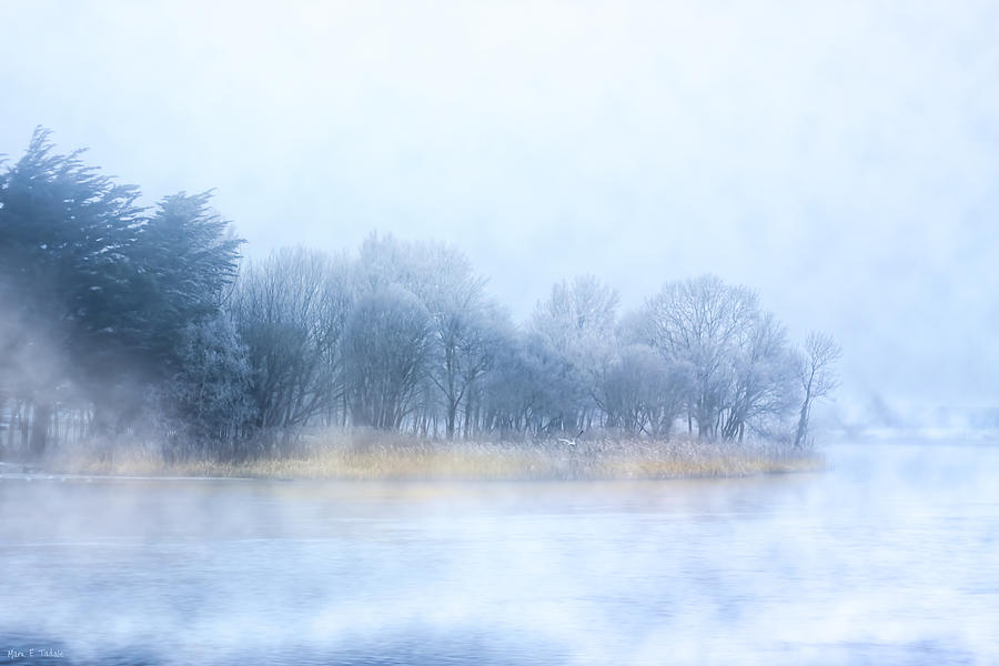 Fog on the River Corrib in Galway Ireland Photograph by Mark E Tisdale