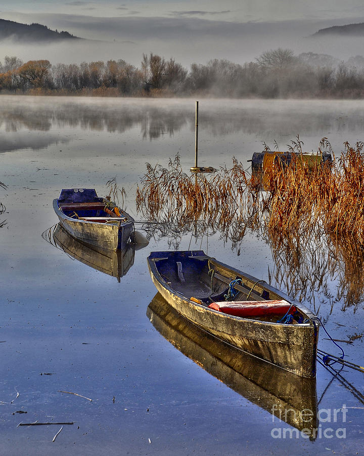 Fog on the River Suir Photograph by Joe Cashin