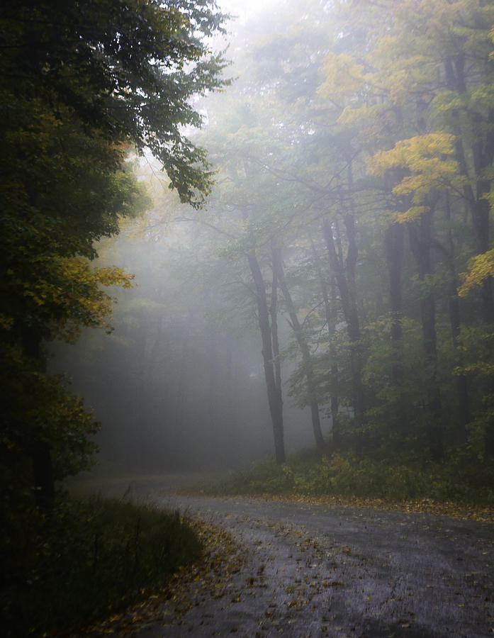 Fog on the winding road Photograph by Savannah King - Fine Art America