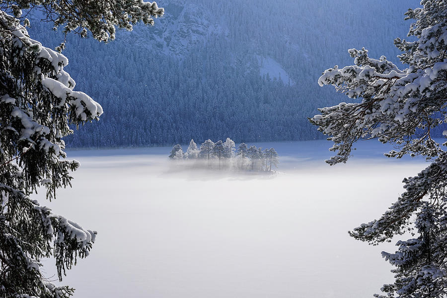 Tree Photograph - Fog Over Frozen Lake by Norbert Maier
