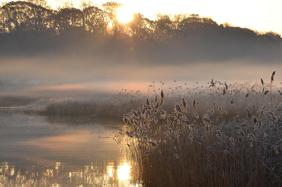 Fog Over Lake Sunrise Photograph by Eric Soderman