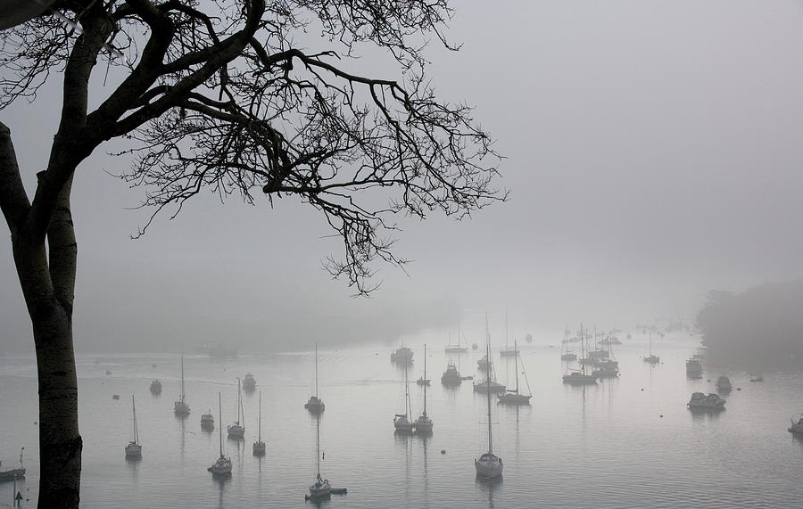 Fog Over Salcombe Estuary Photograph by Adam Hart-davis/science Photo Library