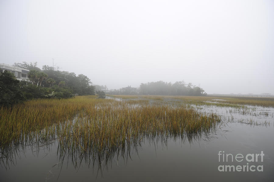 Fog Over The Marsh Photograph