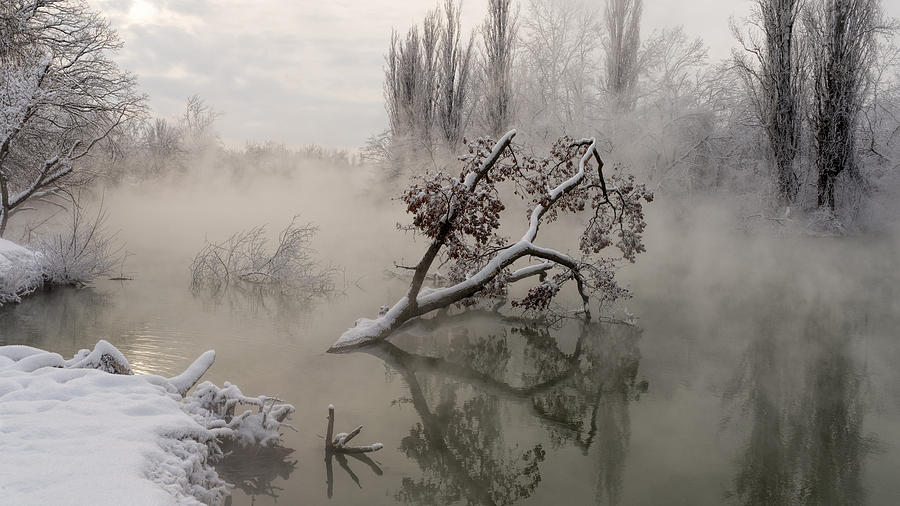 Fog Over The Water Photograph by Alexander Plekhanov