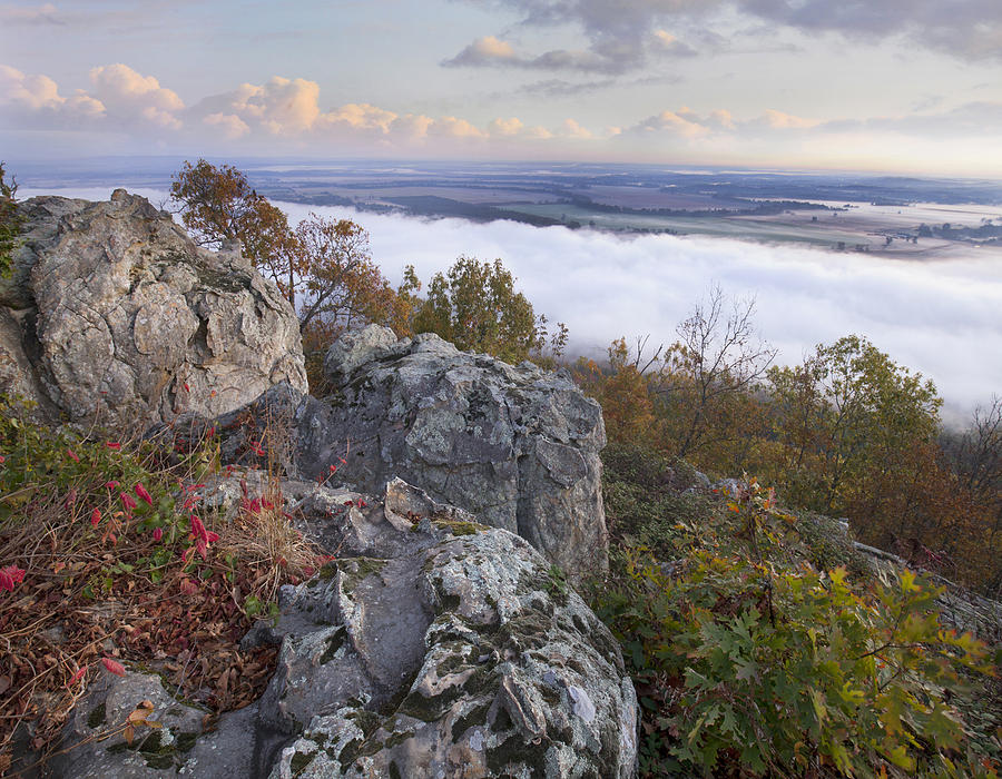 Fog Over Valley Petit Jean State Park Photograph by Tim Fitzharris