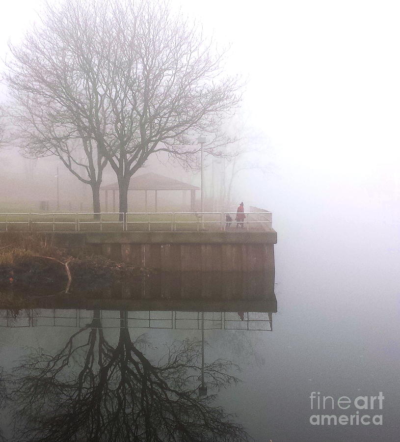 Tree Photograph - Fog People by Marcel  J Goetz  Sr