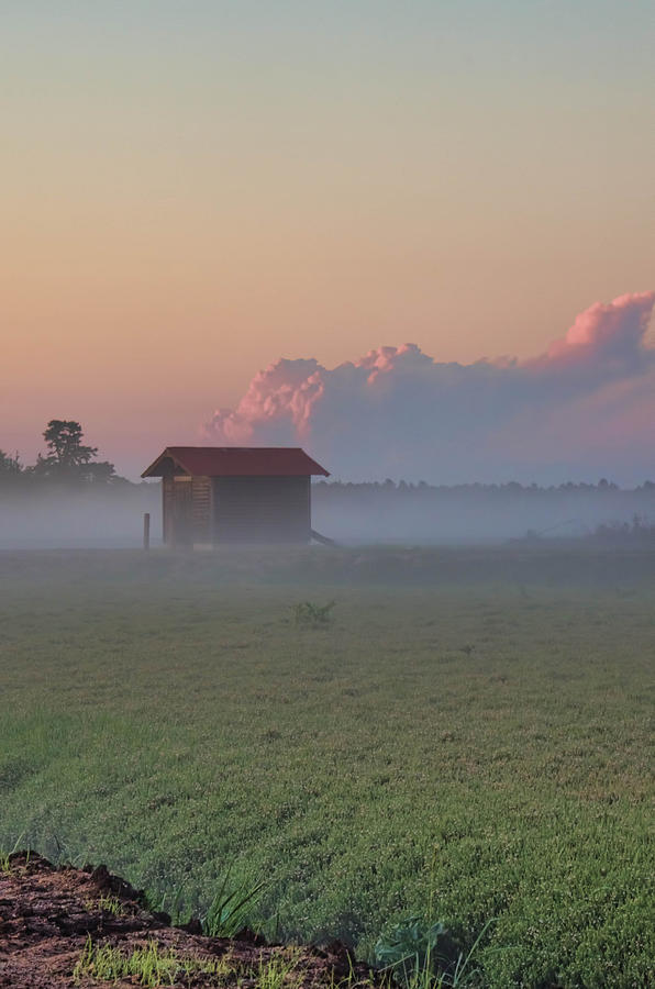 Fog Rolling Over the Bogs at Sunset Photograph by Beth Sawickie