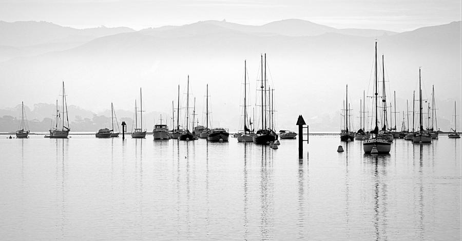 Fog Settles on Morro Bay Photograph by AJ  Schibig