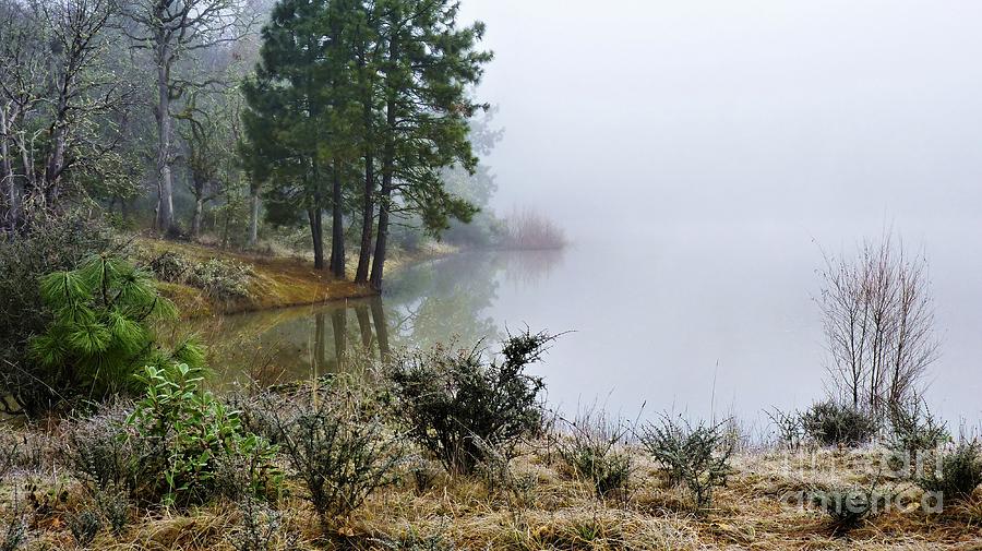 Fogged In Photograph by Julia Hassett