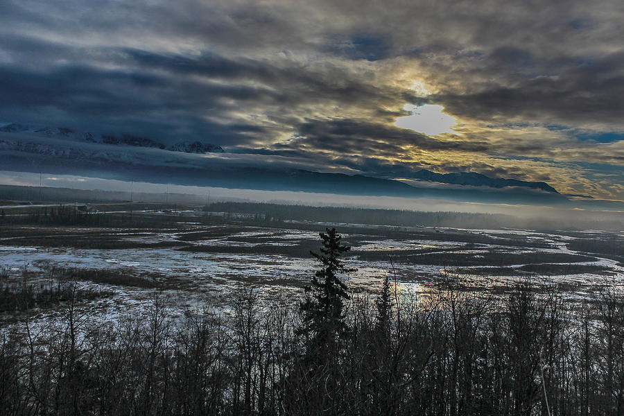 Fogging in Photograph by Tyler Olson - Fine Art America