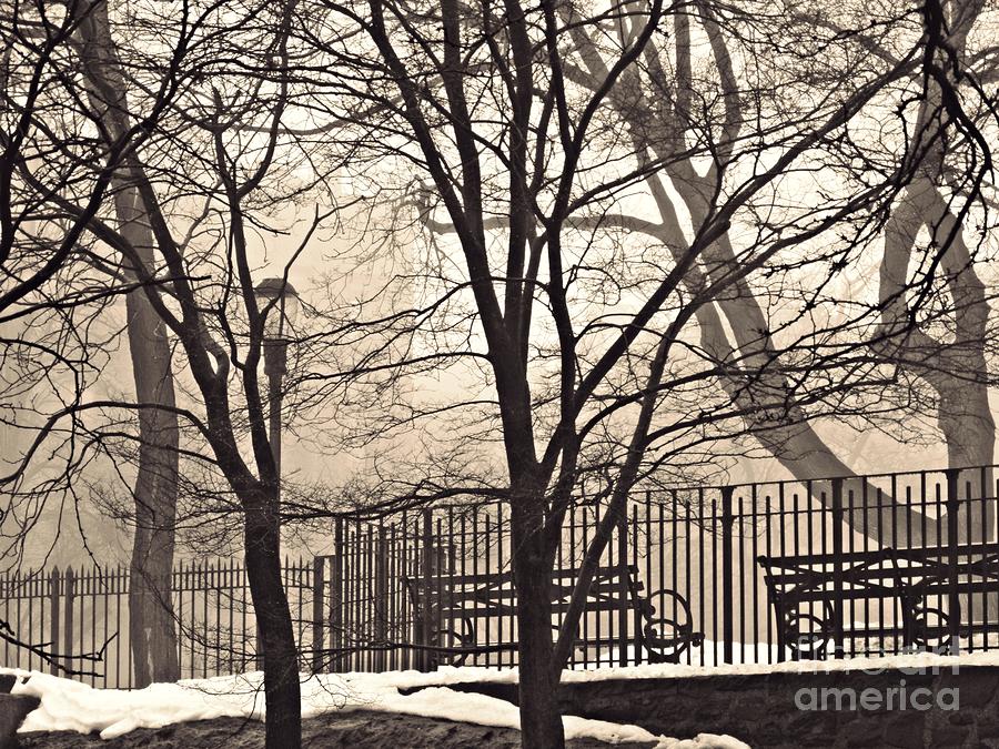 Winter Photograph - Foggy Afternoon in Bennett Park by Sarah Loft