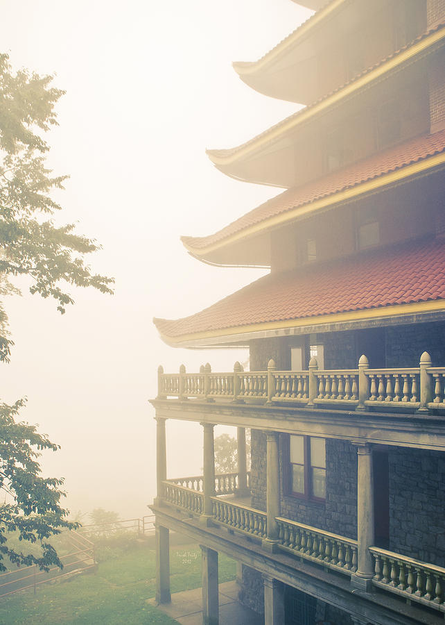 Foggy At The Reading Pagoda Photograph by Trish Tritz