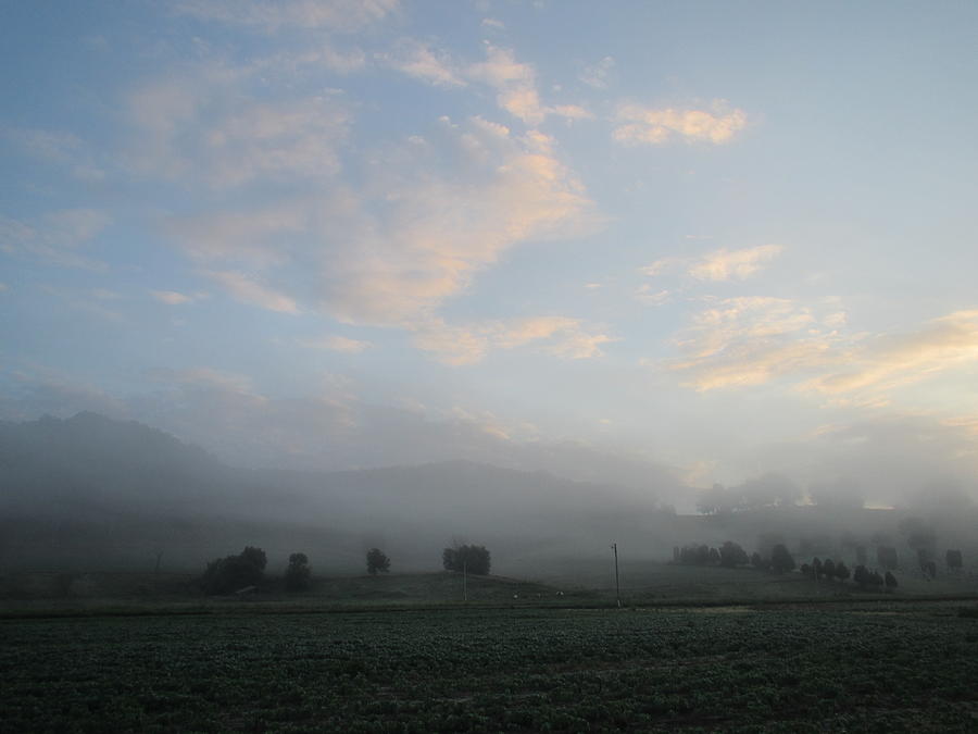 Fog Photograph - Foggy August Morning by Denise Hoff Fog Photograph - Foggy August Morning by Denise Hoff