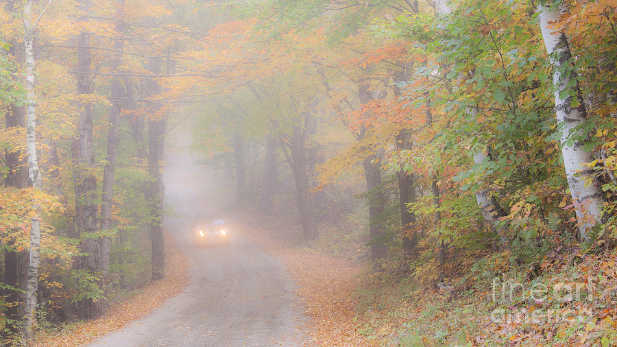 Foggy Autumn Back Road Photograph by Alan L Graham