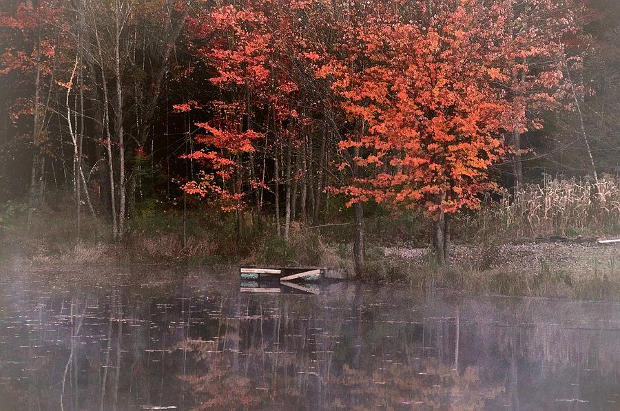 Foggy Autumn Day by the Pond Photograph by Phyllis Meinke