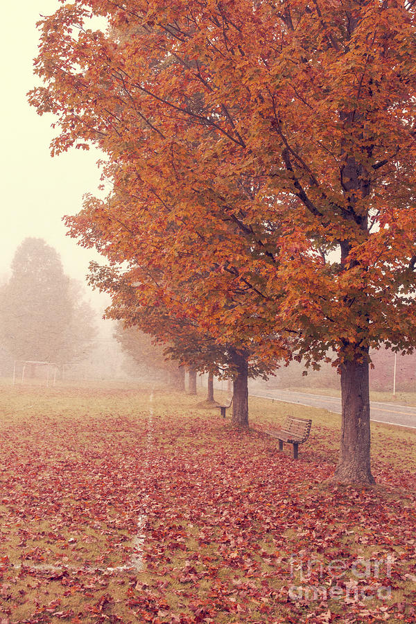 Fall Photograph - Foggy Autumn Morning Etna New Hampshire by Edward Fielding