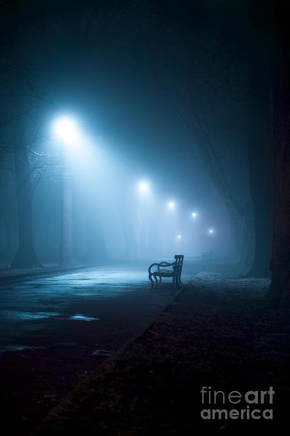 Foggy Avenue With Streetlights And Empty Bench Photograph by Lee Avison
