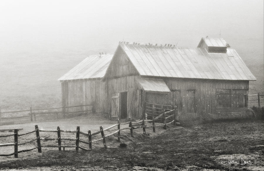 Foggy Barn Photograph by Joan Davis