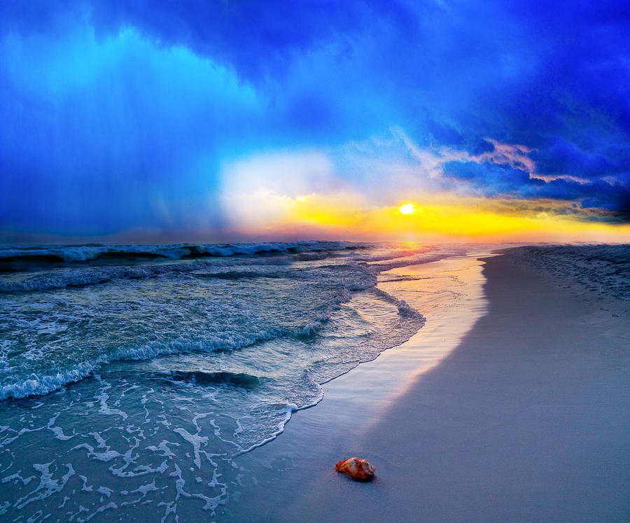 foggy blue sunrise - sea shell on Pensacola Beach Florida Photograph by Eszra Tanner