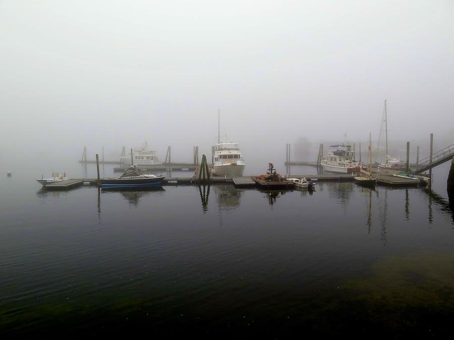 Foggy Boats Photograph by Chris Bavelles