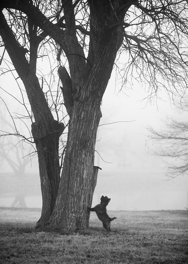 Black And White Photograph - Foggy Bottom by Heidi Marcinik