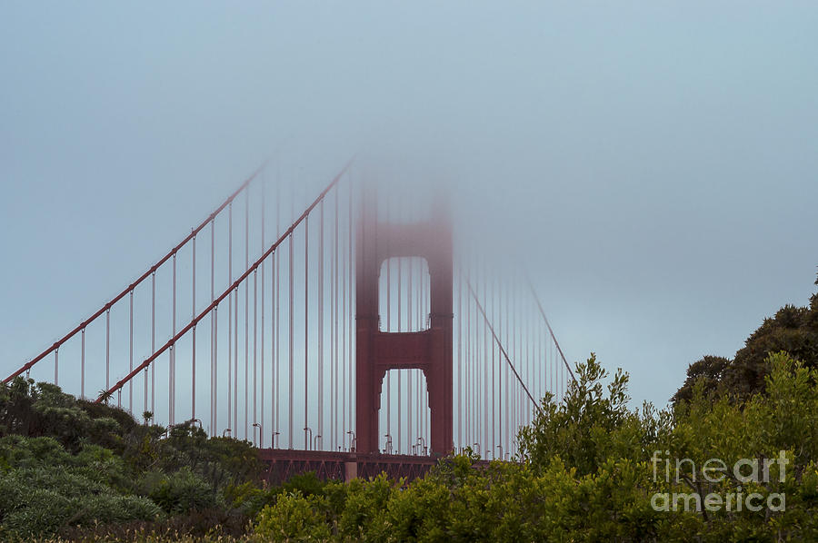 Foggy Bridge Photograph by Bob Phillips